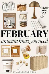 amazon february finds