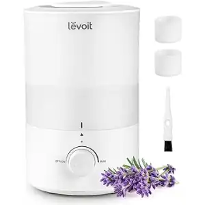best dorm appliances