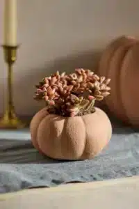 halloween home decor diy