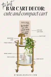 bar cart decor no drinks
