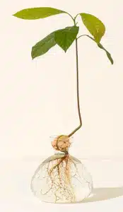 unique gifts for people who have everything