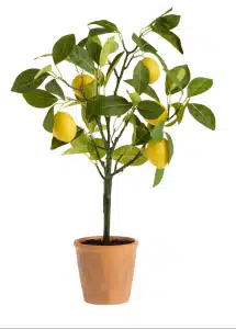 summer decor ideas diy